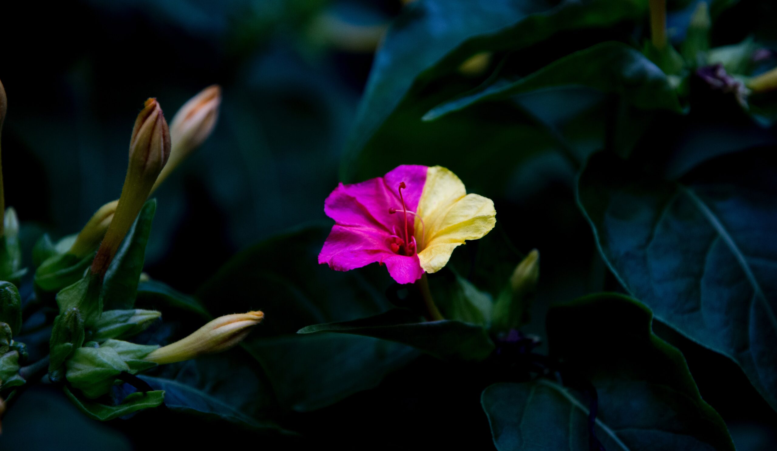 道教的重要节日